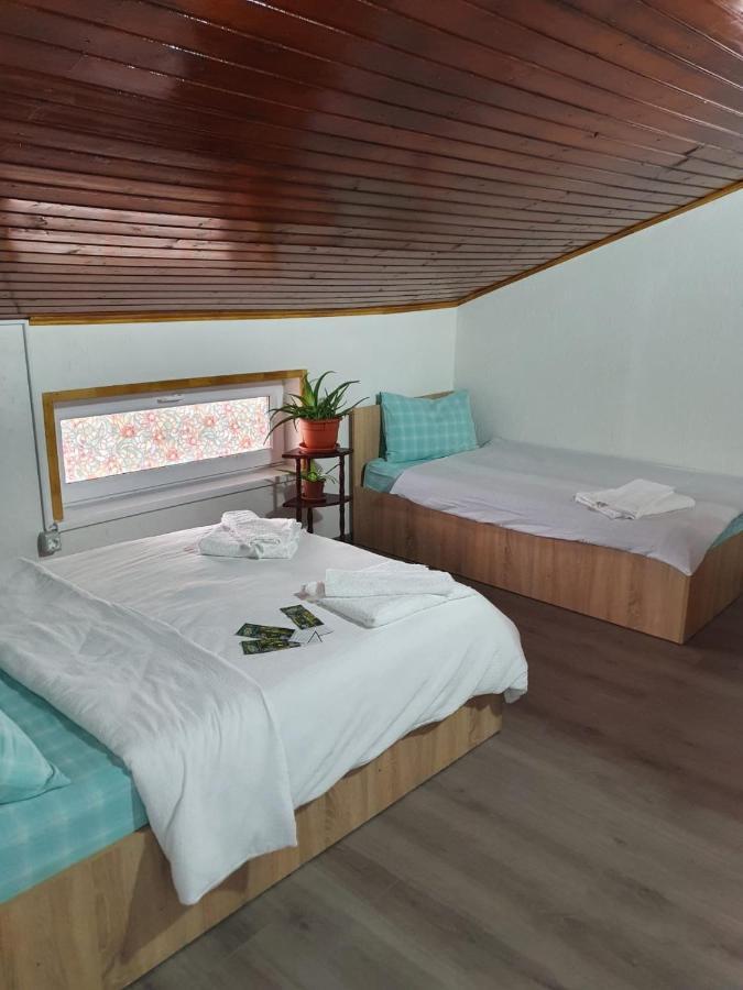 Casa Radu Hotel Tulcsa Kültér fotó